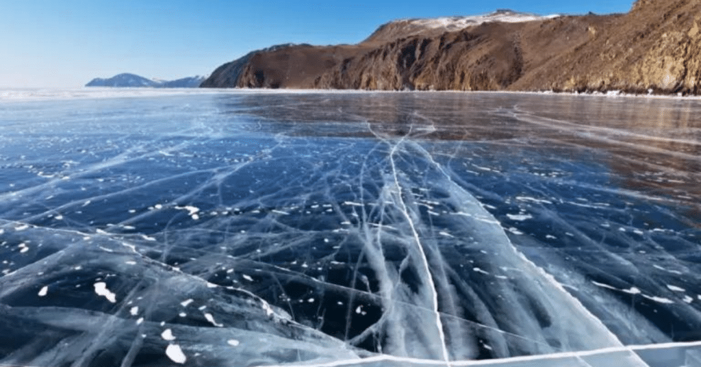 Russia: Planting Underwater Trees