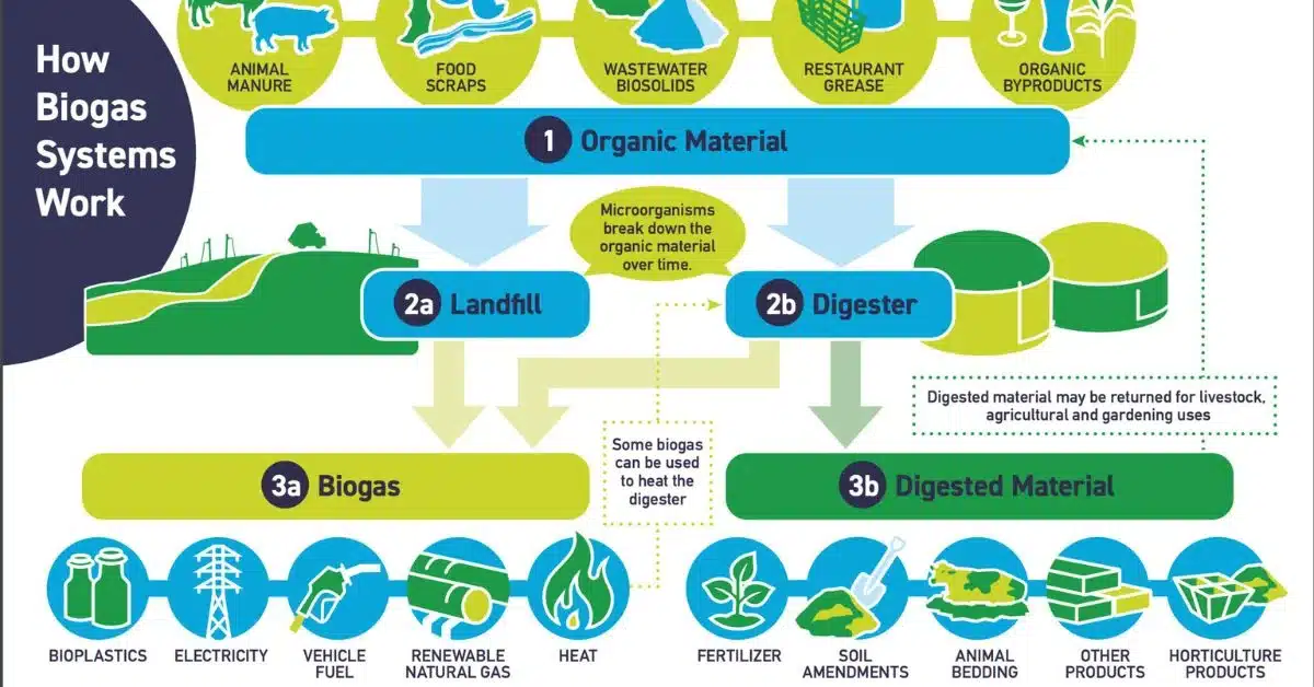 Biogas Market